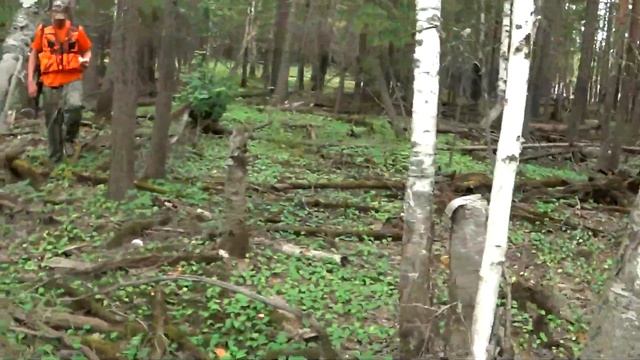 Река Лямин.Дар ко-Горшково оставленная деревня Abandoned village of Khanty Mansi смотреть онлайн