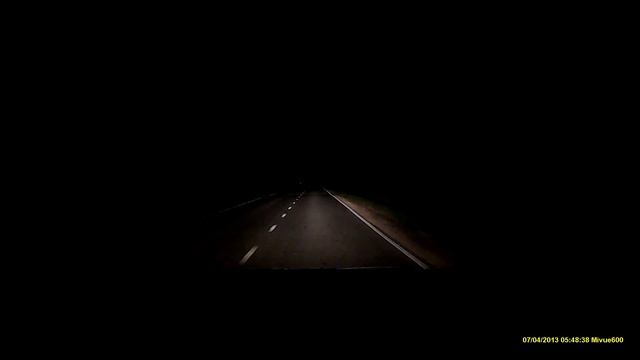 Лоси перебегают дорогу. Саров. Мордовский заповедник смотреть онлайн