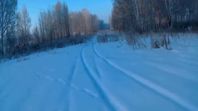 По следам зайца, козы и лося на снегоходе 09 декабря 2017 смотреть онлайн