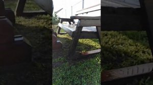 Деревянный стол и скамейка из бруса