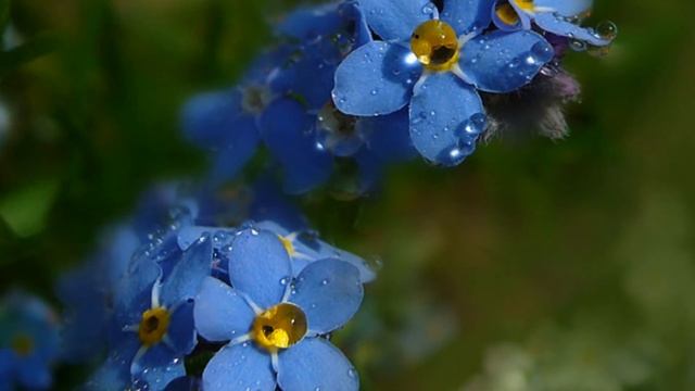 Wow Photo that are worth seeing at least once part-61 | Фотографии которые стоит увидеть хотя бы ра смотреть онлайн