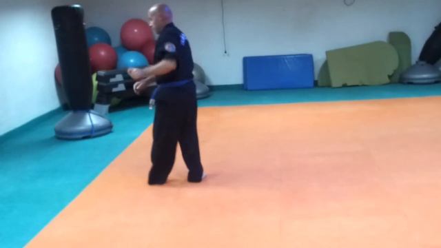 HapKiDo Pumse palo HapKiDo смотреть онлайн