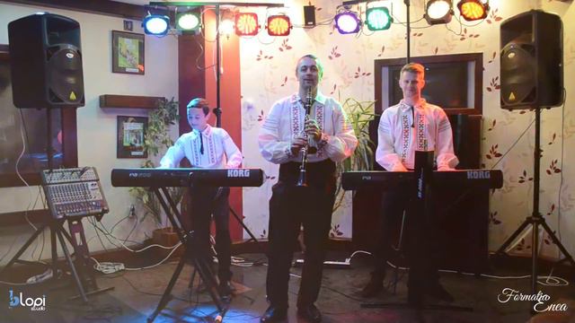 Formatia ENEA - Batuta lui Traian (clarinet) смотреть онлайн