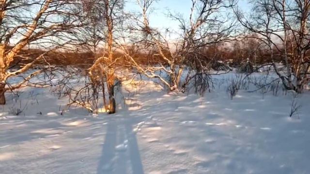 10 января 2023 г. смотреть онлайн