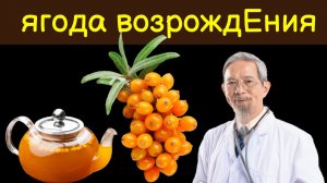 Ягода ВОЗРОЖДЕНИЯ - ЧТО ТВОРИТ ОБЛЕПИХА с телом!  90% людей НЕ ЗНАЕТ ЭТОМ. Польза и вред Облепихи.