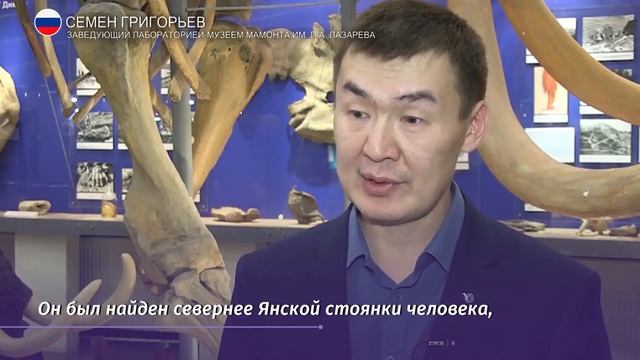 Ученые показали копье, извлеченное из скелета мамонта смотреть онлайн