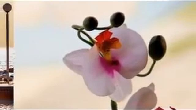 Sharjah Carlton Hotel