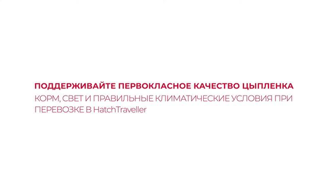 Bell и Evans, самая старая компания по производству курятины в Америке, используют HatchCare смотреть онлайн