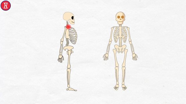 Польза правильной осанки | Интереса Ради - YouCurious Russian смотреть онлайн