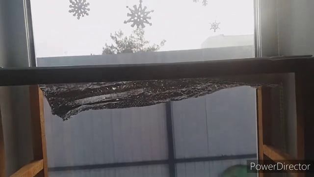 ПЕРВИЧНЫЙ СТЕЛЛАЖ ДЛЯ РАССАДЫ☆ЛЕРИН САД ?? смотреть онлайн