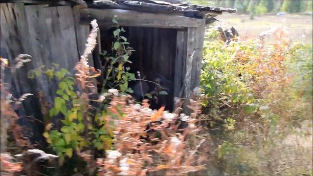 Заброшенная Русь. деревня Дубровка. Тверская обл. смотреть онлайн