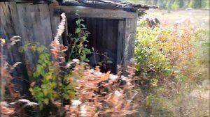 Заброшенная Русь. деревня Дубровка. Тверская обл.