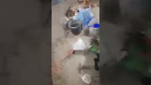 Микрогровинг Готовлю Помещение сезон 2022/01 /27 смотреть онлайн