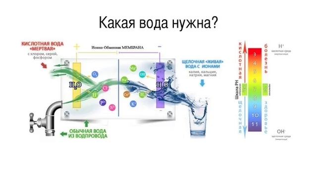 Мощное похудение 100% результат Урок 5. ]Вода Важно при снижении веса [онлайн курс] смотреть онлайн