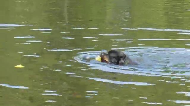 Изображение 030.mov смотреть онлайн