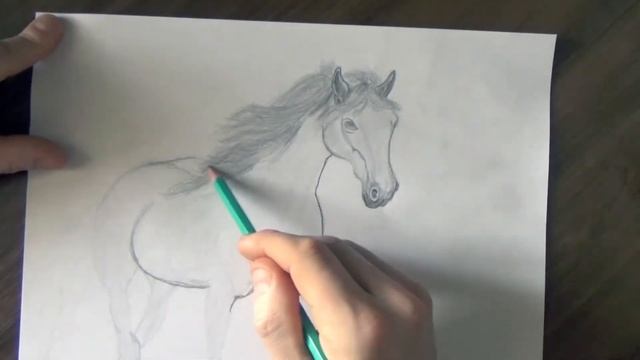 Как нарисовать лошадь простым карандашом поэтапно, конь с гривой смотреть онлайн
