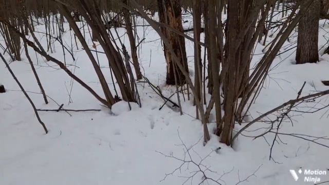 #190 Погоня за неизвестностью🤔закрываем сезон 2021-2022г. смотреть онлайн