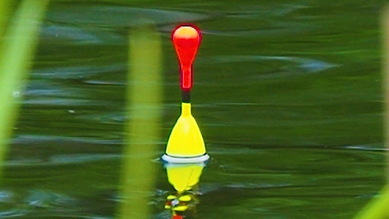 КАК ПОЙМАТЬ КРУПНОГО КАРАСЯ? Рыбалка на поплавок! Летняя мормышка на карася! смотреть онлайн