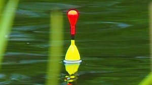 КАК ПОЙМАТЬ КРУПНОГО КАРАСЯ? Рыбалка на поплавок! Летняя мормышка на карася!