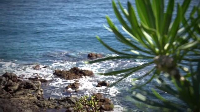 Turismo Candelaria Tenerife смотреть онлайн