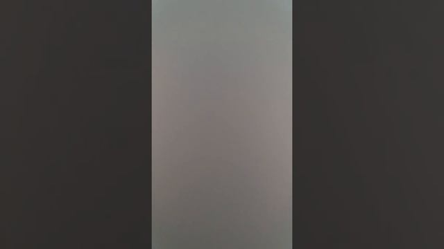 Почему кошки не дружат с собаками?-вопросы и ответы смотреть онлайн