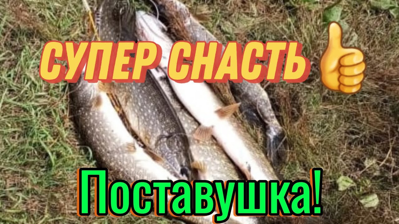 Универсальный, уловистый монтаж. Поставушка! #рыбалка #fishing #поставушка #супер монтаж #жерлица смотреть онлайн