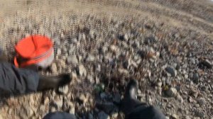 Рыбалка на Дону  Хутор Пятиизбянский в Калачёвском районе Волгоградской области.  Продолжение...