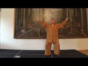 И Цзинь Цзин Цигун   Yi Jin Jing Qi Gong  Мастер Ши Юн Дао