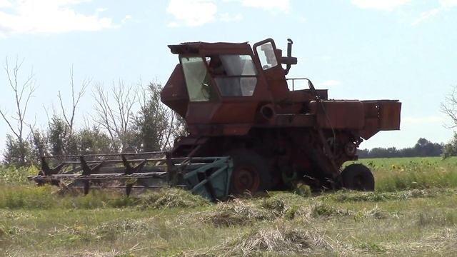Комбайн Нива СК 5, косит сено жаткой ЖВН 6 смотреть онлайн