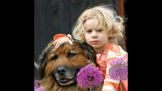 CRIANÇAS DO MUNDO / CHILDREN OF THE WORLD смотреть онлайн