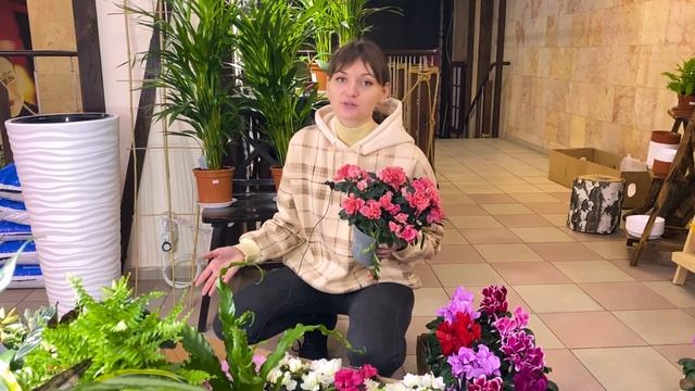 Комнатные растения, цветы - распаковка. Выпуск для релакса смотреть онлайн