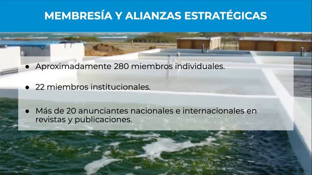 Presentación Oficial Sociedad Venezolana de Acuicultura смотреть онлайн