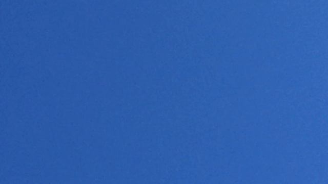 Скорость сапсанов и моих голубей в небе!2.11.18г смотреть онлайн
