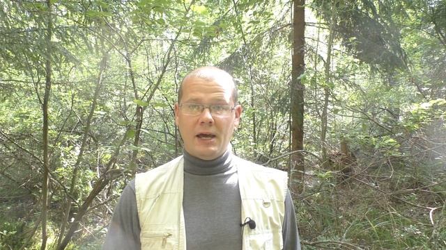 Копытный лемминг - товарищ Краснов смотреть онлайн