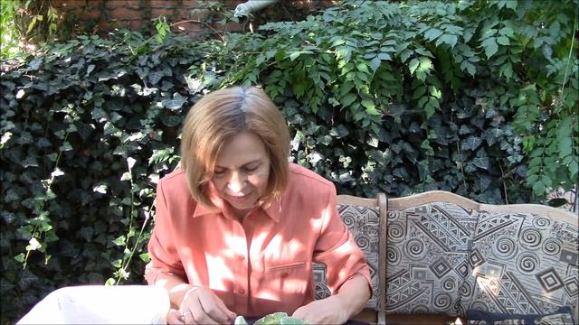 Пплектрантус! Мой очередной эксперимент! смотреть онлайн