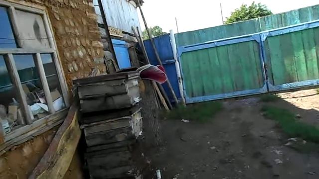 поймал пчелиный рой №2 смотреть онлайн