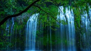 Самая красивая природа Таджикистан