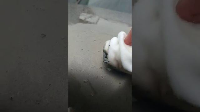 Цинкование ржавчины корпусом солевой батарейки смотреть онлайн