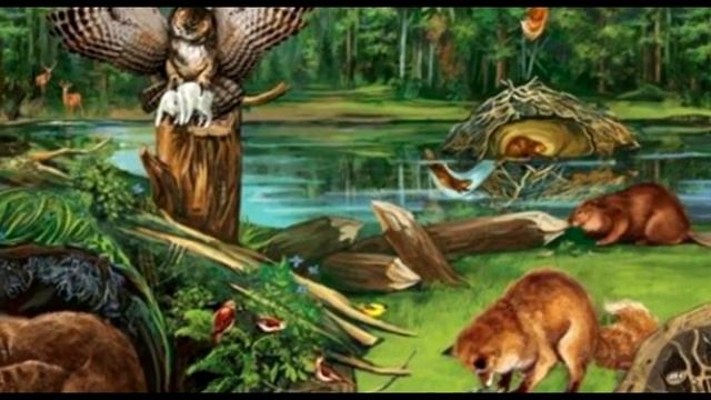 Краденое солнце смотреть онлайн