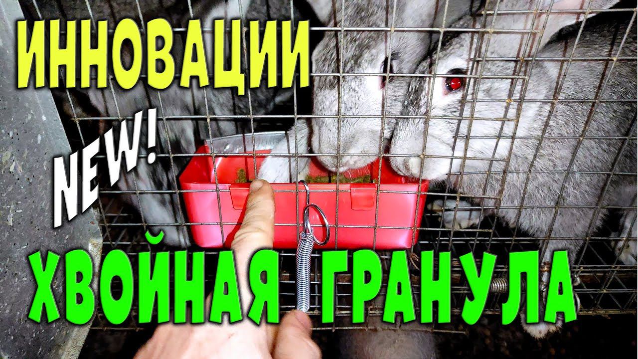 Инновационная добавка для кроликов / Кормление хвойной обогащенной гранулой смотреть онлайн