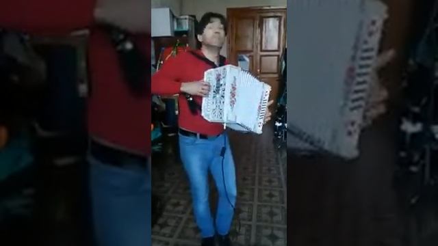 Иванов Виктор на гармони с миди системой Littau смотреть онлайн