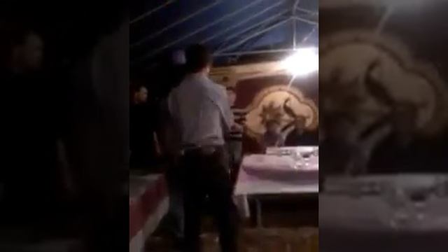 Ariz Qemli Etibar sumqayit Xeqani Masalli _ masalli toyu смотреть онлайн