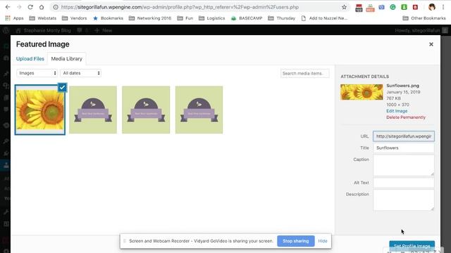 How To Use The Genesis User Profile Widget In WordPress 2019 смотреть онлайн