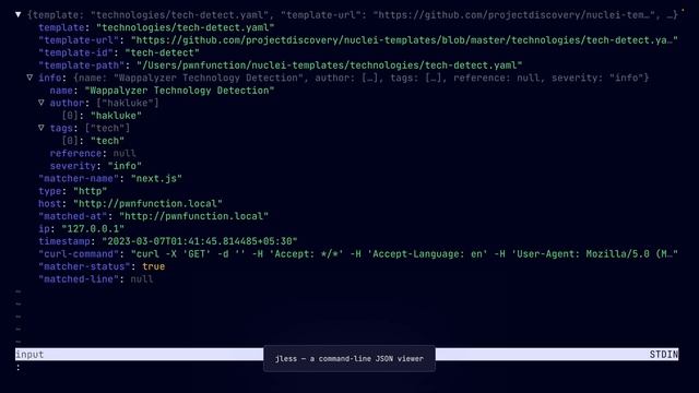 How to work with Nuclei Output смотреть онлайн