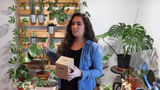 AMAZON Grow Light REVIEW: Sansi vs SunBlaster Plant LED Grow Lights смотреть онлайн