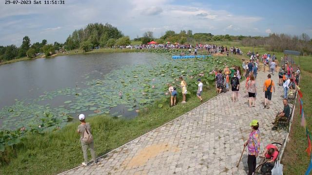 Открытие сезона лотосов с Липовка смотреть онлайн