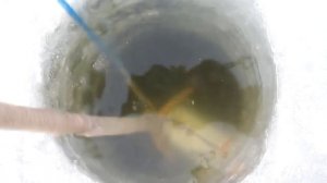 Как ловить рыбу сетями зимой? Работа с торпедой. fishing with nets.