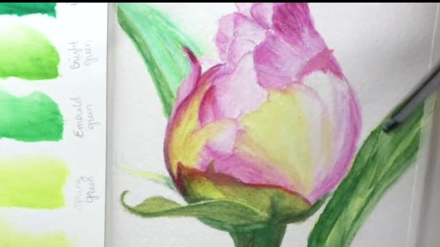 HOW TO USE WATERCOLOR PENCILS  Beginners Tips & Techniques, Colored Pencil Tips