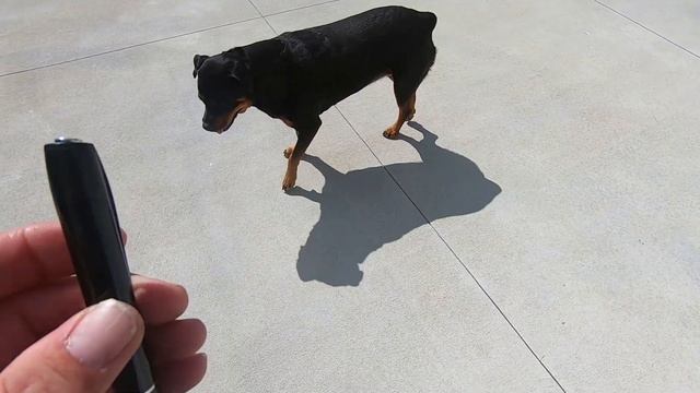 How To Use Hidden Spy Pen W8 Camera Nanny 1080P Video 12mp Pictures Review Easy Diy смотреть онлайн