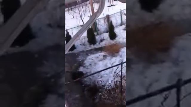 Кано и Нами смотреть онлайн